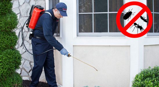 Ceyhan Hamam Böceği İlaçlama böcek ilaçlama ve haşere kontrolü — ilaclama-tr.com